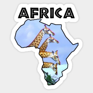 Africa Wildlife Continent 4 Giraffes Sticker